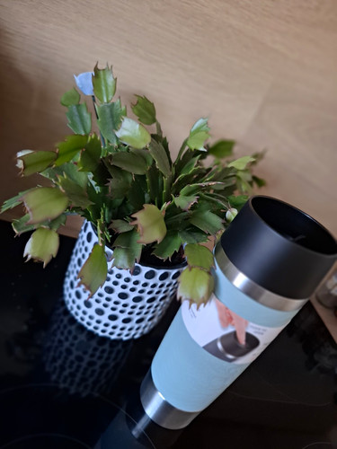 Emsa travel mug essential - essential, xxl